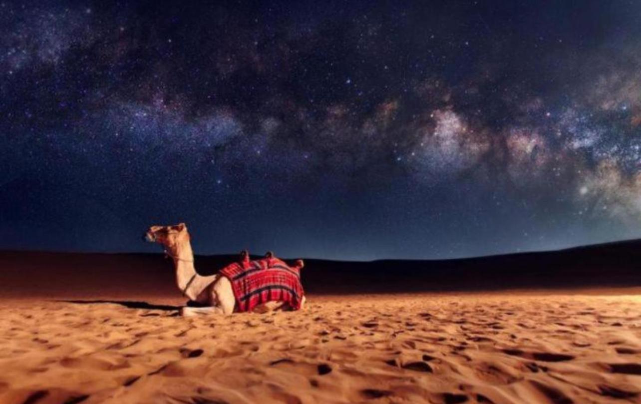 Bedouin Bunch Camp Otel Ram Vadisi Dış mekan fotoğraf