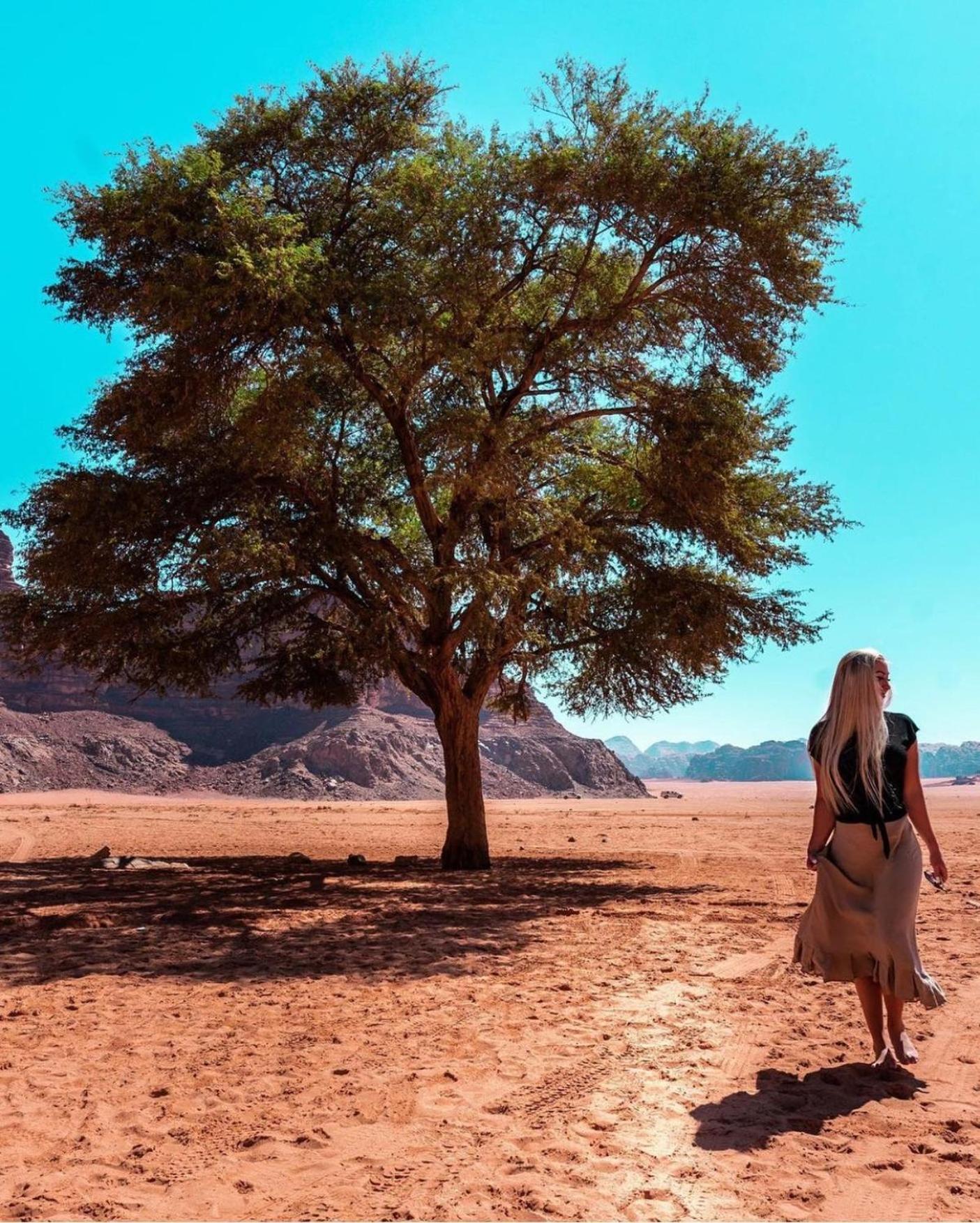 Bedouin Bunch Camp Otel Ram Vadisi Dış mekan fotoğraf