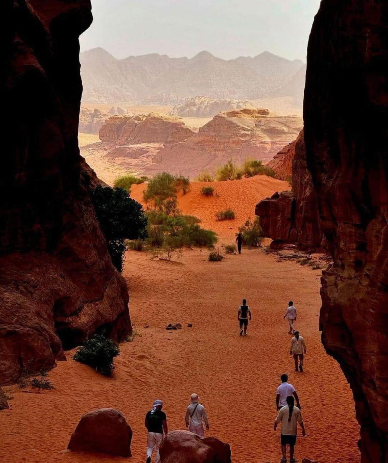Bedouin Bunch Camp Otel Ram Vadisi Dış mekan fotoğraf